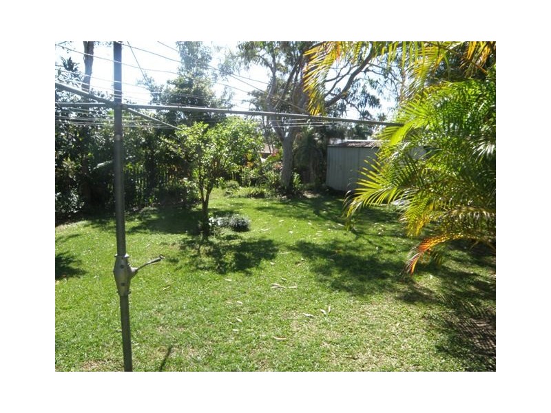 3 Bramble Street, Tewantin QLD 4565