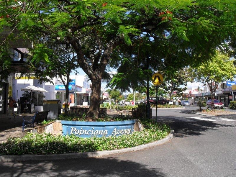 107 Moorindil Street, Tewantin QLD 4565