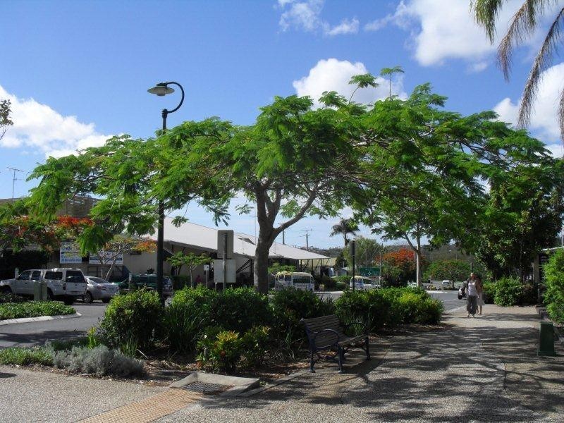 107 Moorindil Street, Tewantin QLD 4565