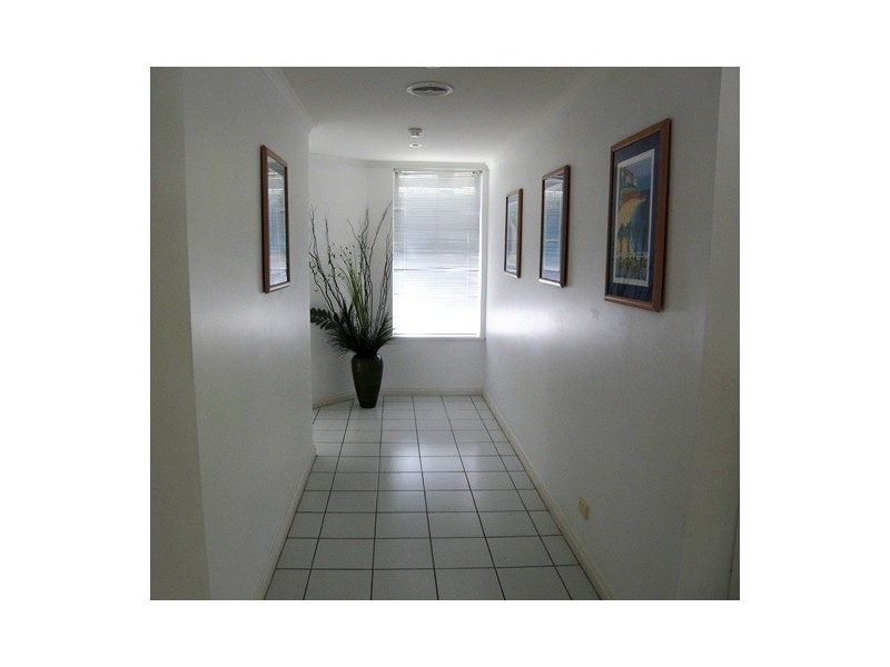 44 The Emerald Hastings Street, Noosa Heads QLD 4567