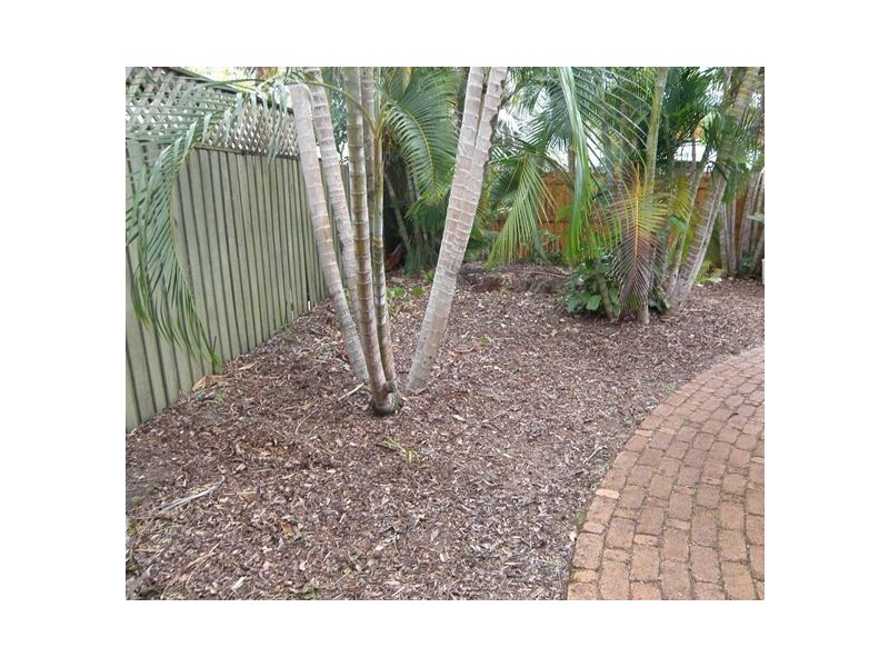 4 Lagoona Drive, Noosa Heads QLD 4567