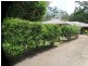 19 Tinaroo Place, Tewantin QLD 4565