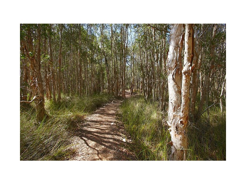 14 Lakeshore Place, Peregian Beach QLD 4573