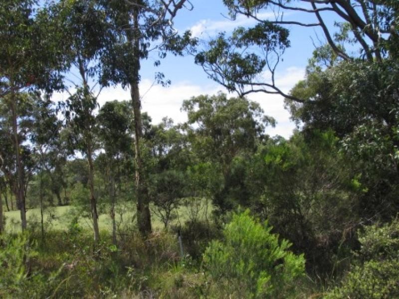 51 Augusta Circuit, Peregian Springs QLD 4573