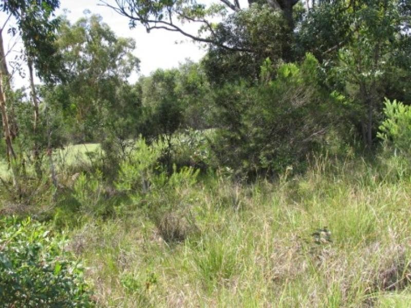 51 Augusta Circuit, Peregian Springs QLD 4573