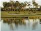 77 The Avenue, Peregian Springs QLD 4573