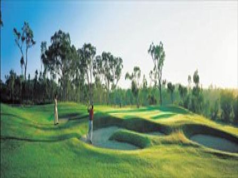 77 The Avenue, Peregian Springs QLD 4573