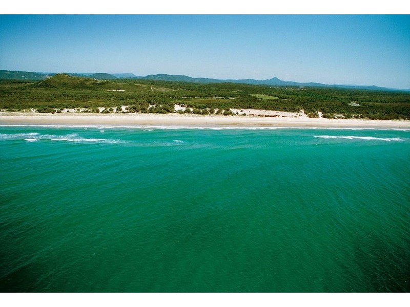 4407 Scribbly Gum Court, Peregian Springs QLD 4573