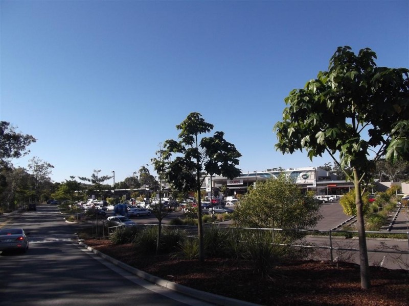 4408 Scribbly Gum Court, Peregian Springs QLD 4573
