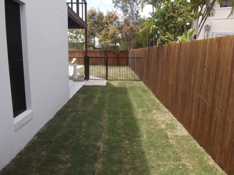 97 The Avenue, Peregian Springs QLD 4573