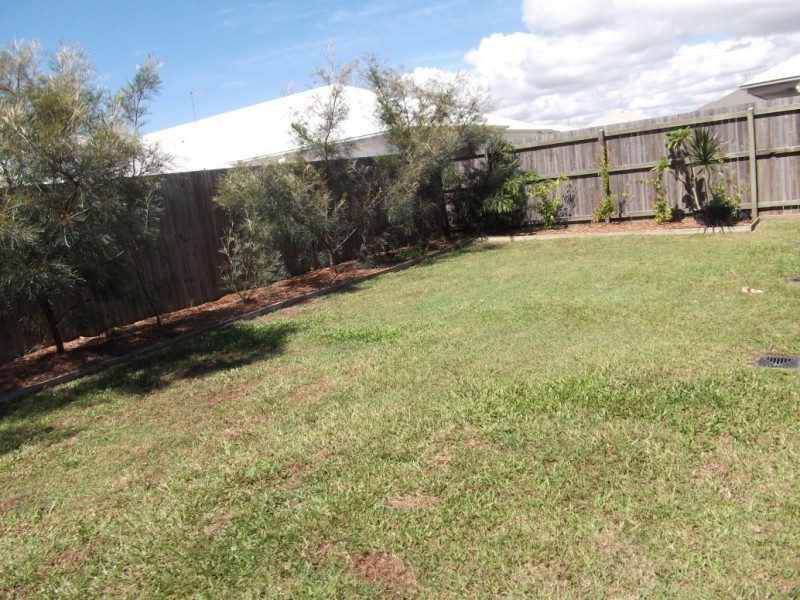 4 Goldenbell Place, Peregian Springs QLD 4573