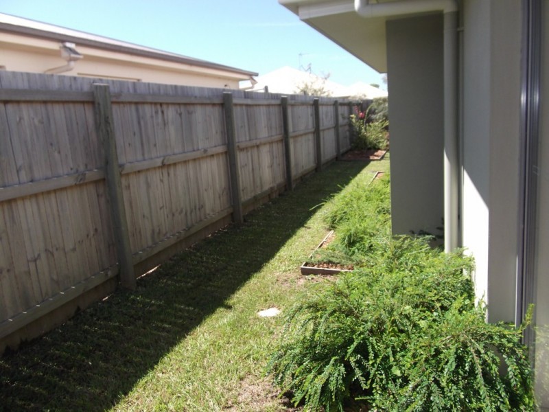 4 Goldenbell Place, Peregian Springs QLD 4573