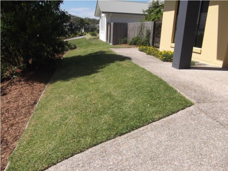 52 Balgownie Drive, Peregian Springs QLD 4573