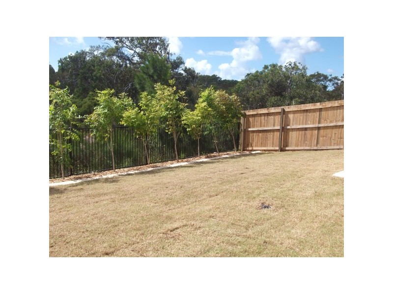 41 Gainsborough Crescent, Peregian Springs QLD 4573