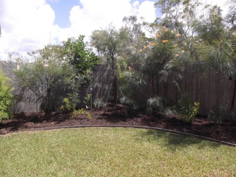 17 Longcove Place, Peregian Springs QLD 4573