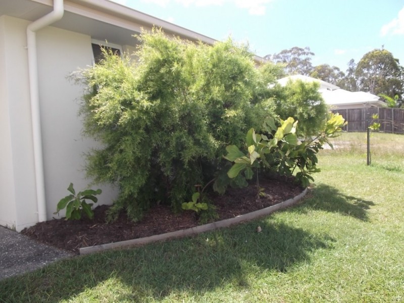 17 Longcove Place, Peregian Springs QLD 4573