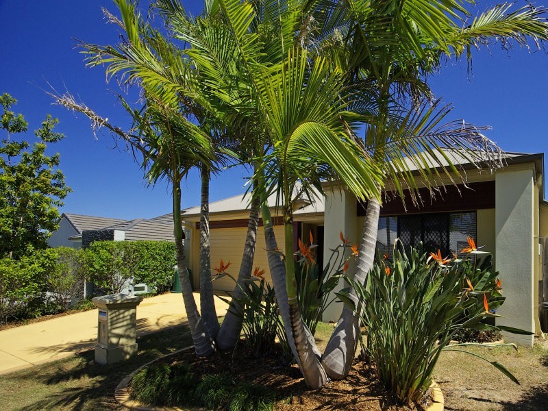 11 Bellerive Avenue, Peregian Springs QLD 4573