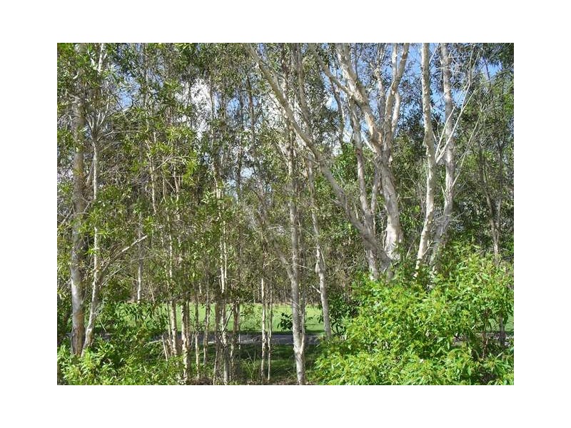 35 Augusta Circuit, Peregian Springs QLD 4573