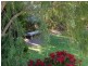 37-41 Leichardt Drive, Coolum Beach QLD 4573