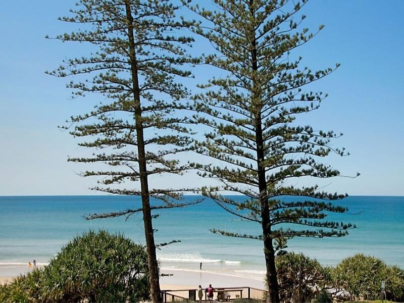 16/1770 David Low Way, Coolum Beach QLD 4573