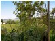 46 Musgrave Drive, Coolum Beach QLD 4573