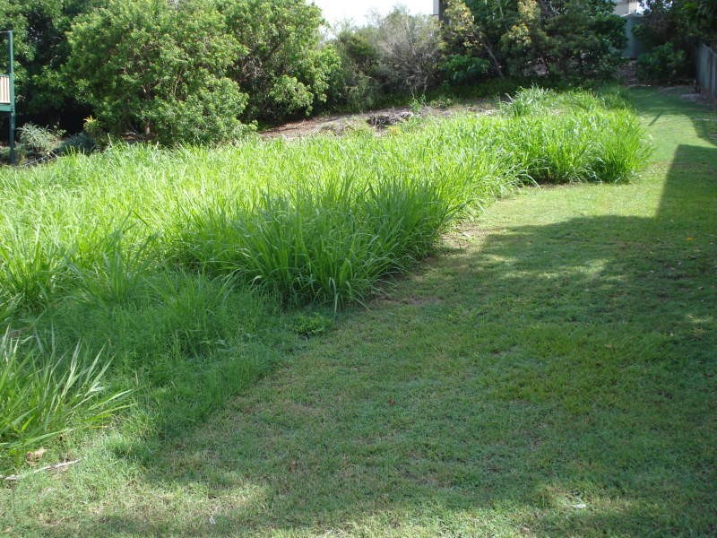 8 Podargus Parade, Peregian Beach QLD 4573