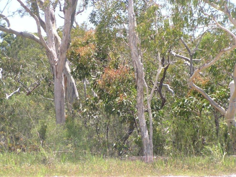 77 (2817) Balgownie Drive, Peregian Springs QLD 4573