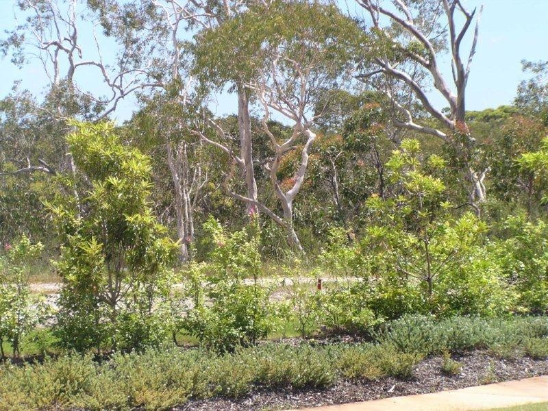 77 (2817) Balgownie Drive, Peregian Springs QLD 4573