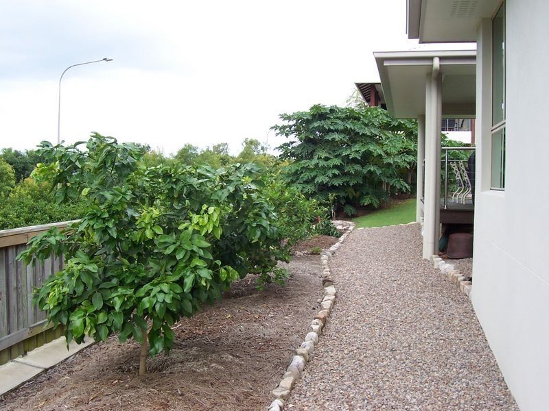 15 Pennant Court, Peregian Springs QLD 4573