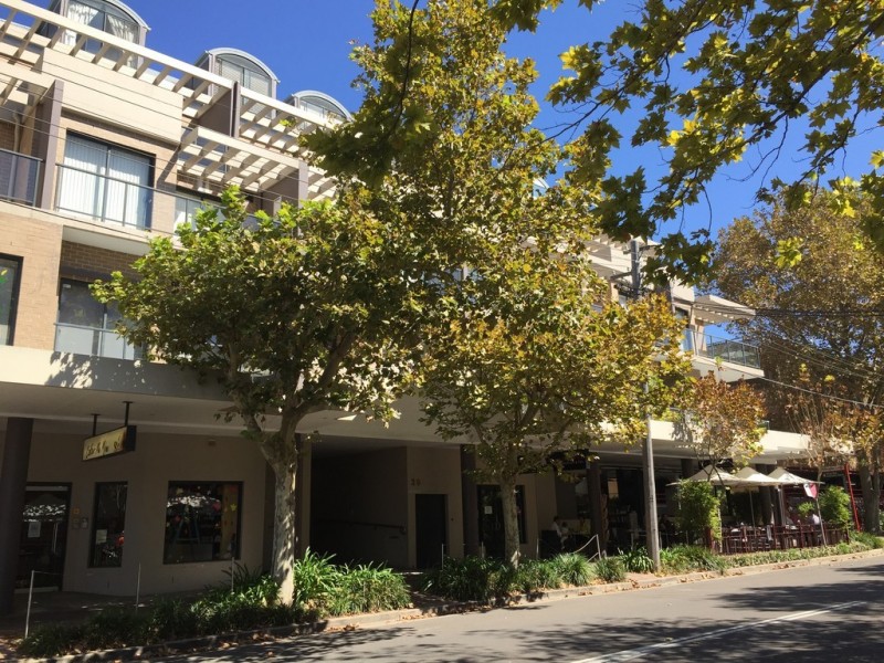 11/29 Holtermann Street, Crows Nest NSW 2065