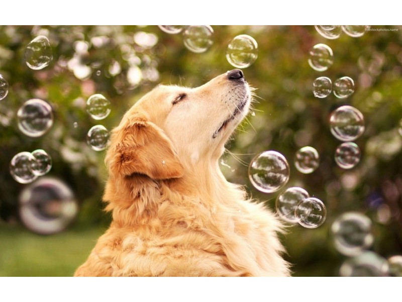 Lot 4 Lakefield Crescent, Beerwah QLD 4519