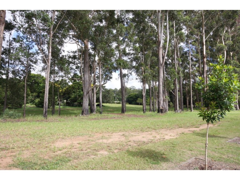 82 Carnarvon Drive, Beerwah QLD 4519