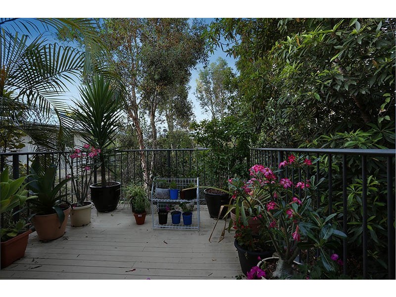 7/31 Swan Street, Beerwah QLD 4519