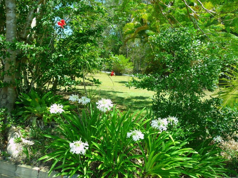 102 Crohamhurst Road, Peachester QLD 4519