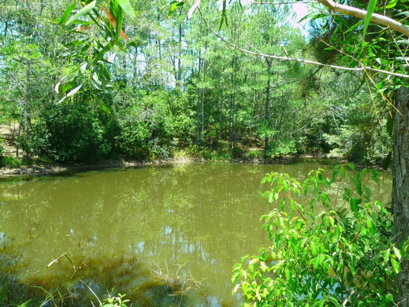 102 Crohamhurst Road, Peachester QLD 4519