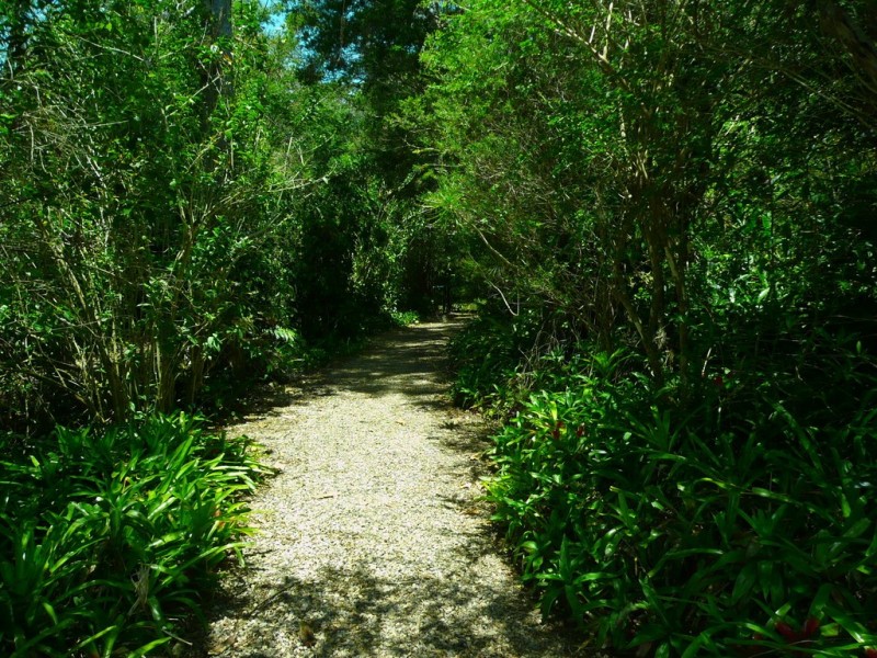 102 Crohamhurst Road, Peachester QLD 4519