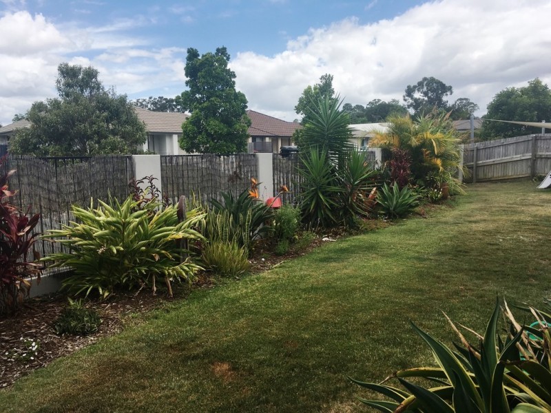 9 Monarch Place, Beerwah QLD 4519