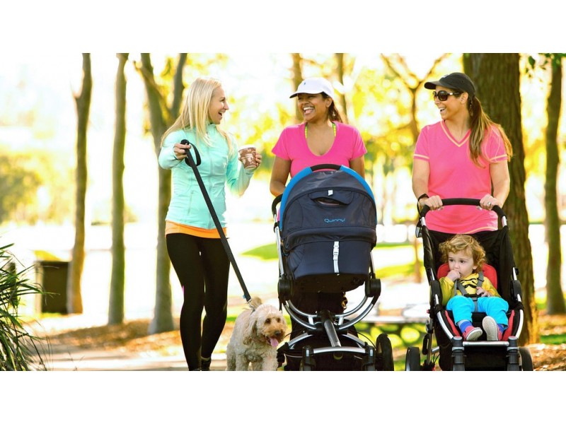 Lot 9 Malanda Court, Beerwah QLD 4519