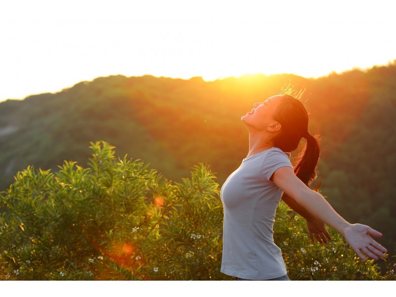 Lot 2 Malanda Court, Beerwah QLD 4519