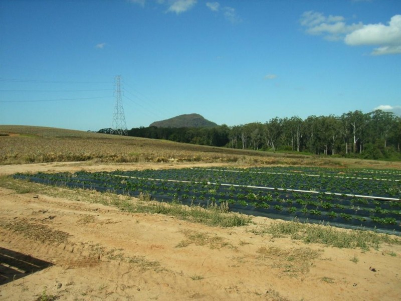 26 Lindeman Road, Beerwah QLD 4519