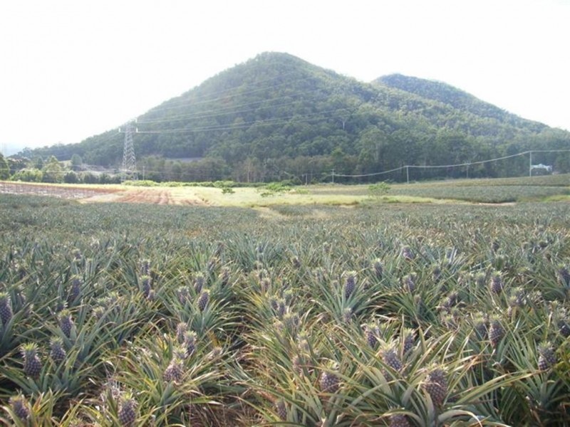 26 Lindeman Road, Beerwah QLD 4519