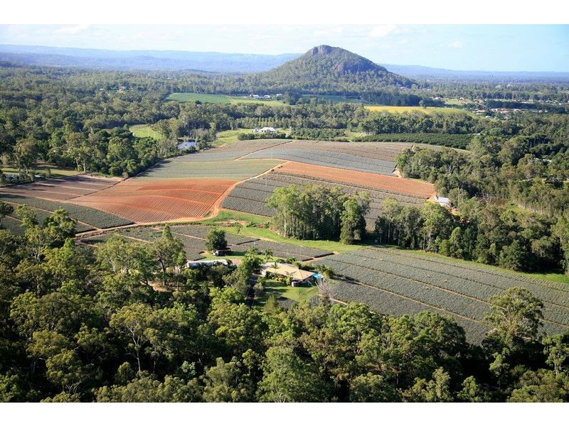 276 Barrs Road, Glass House Mountains QLD 4518