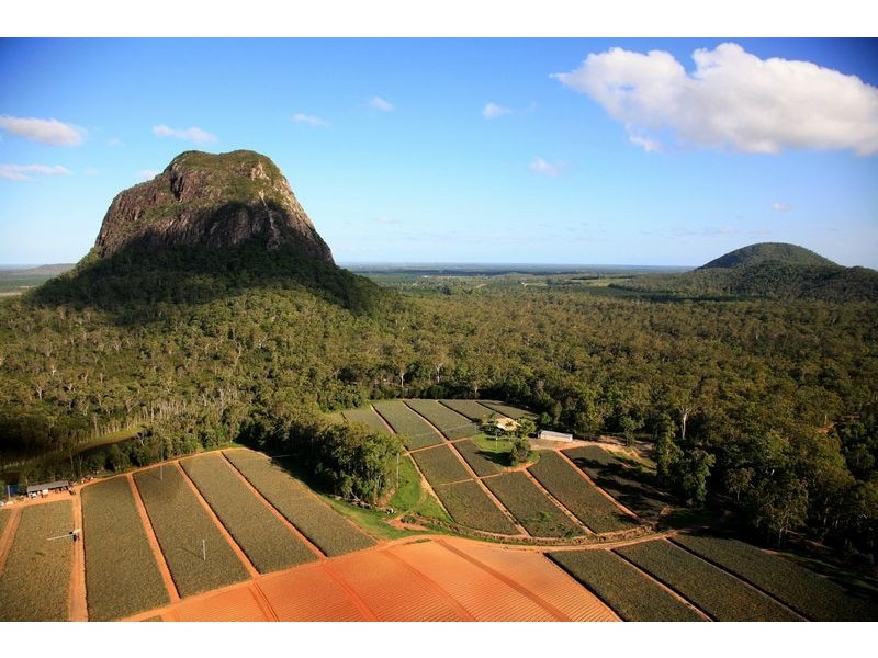 276 Barrs Road, Glass House Mountains QLD 4518