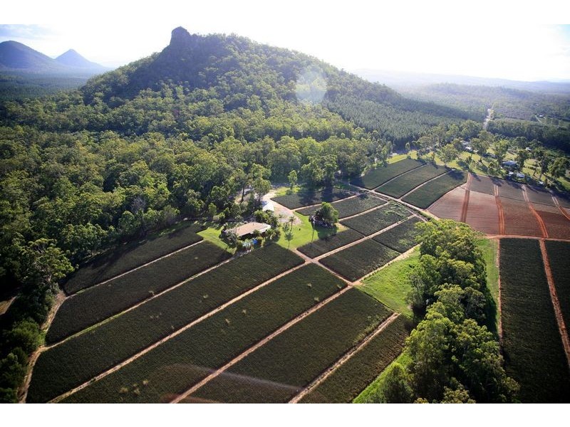 276 Barrs Road, Glass House Mountains QLD 4518
