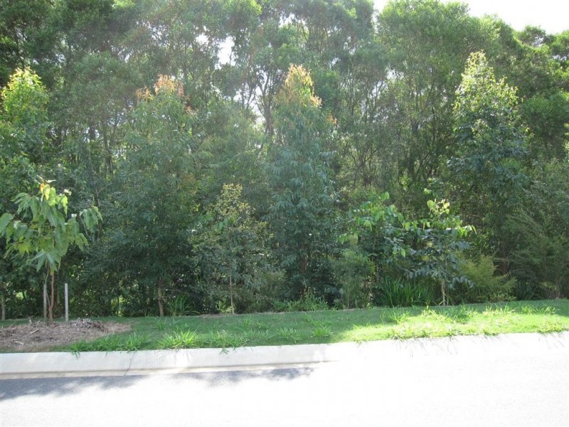 Lot 20 Lachlan Crescent, Beerwah QLD 4519
