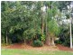 26 Carnarvon Drive, Beerwah QLD 4519