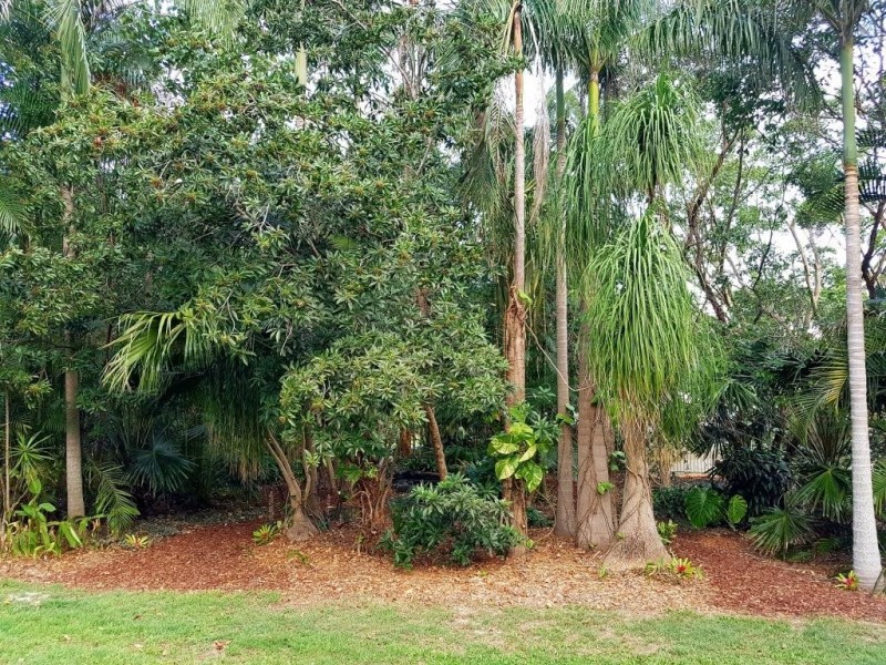 26 Carnarvon Drive, Beerwah QLD 4519