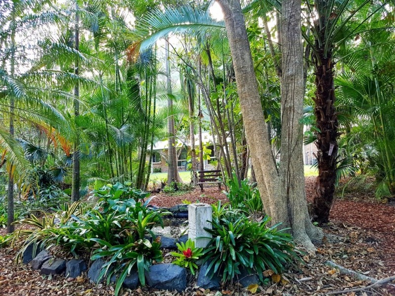 26 Carnarvon Drive, Beerwah QLD 4519