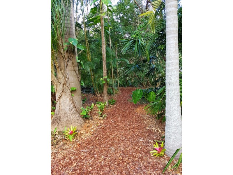 26 Carnarvon Drive, Beerwah QLD 4519