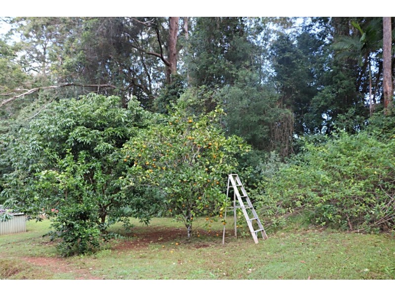 161 Commissioners Flat Road, Peachester QLD 4519